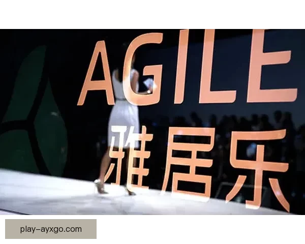 博塔弗戈因里昂未偿债务七亿多雷亚尔正式提起诉讼